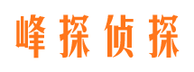 景德镇外遇取证